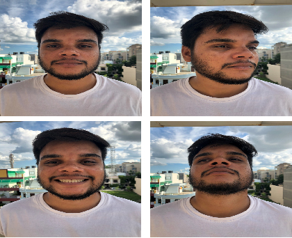 人物画像やブランドの収集